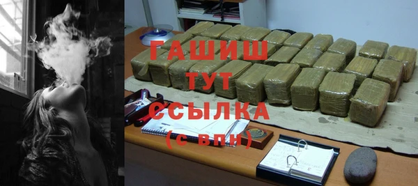 индика Волоколамск