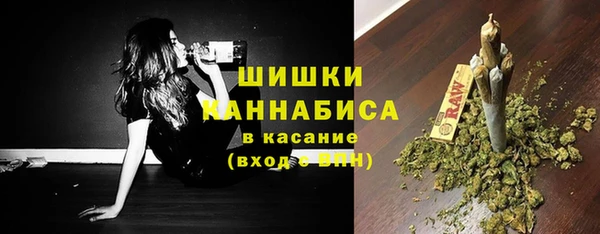 индика Волоколамск