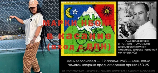 индика Волоколамск