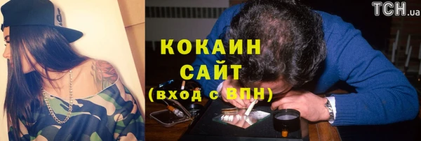 индика Волоколамск