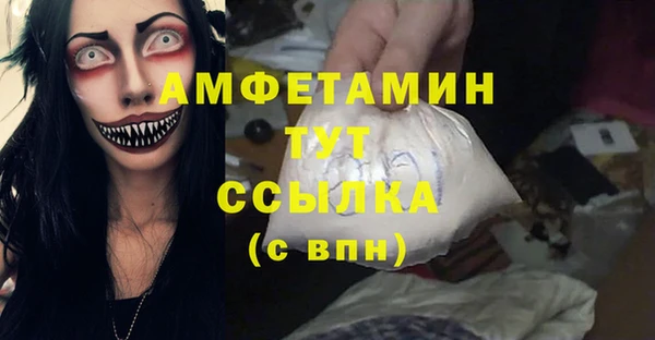 индика Волоколамск