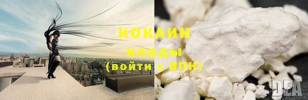 индика Волоколамск