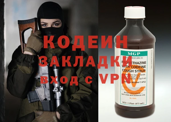 индика Волоколамск