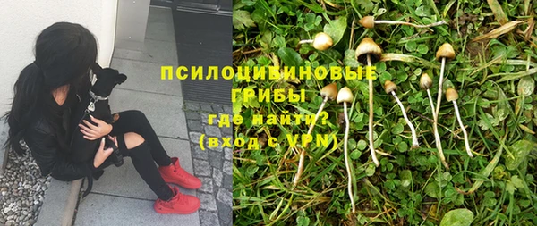 кокс Новодвинск