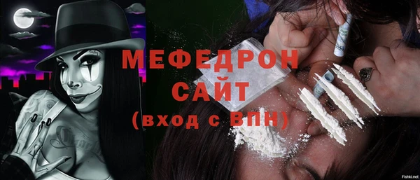 индика Волоколамск