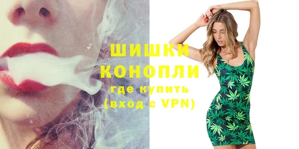 индика Волоколамск